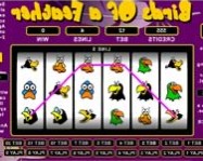 Birds of a feather online szuper játék