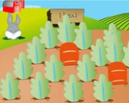 Carrot match online